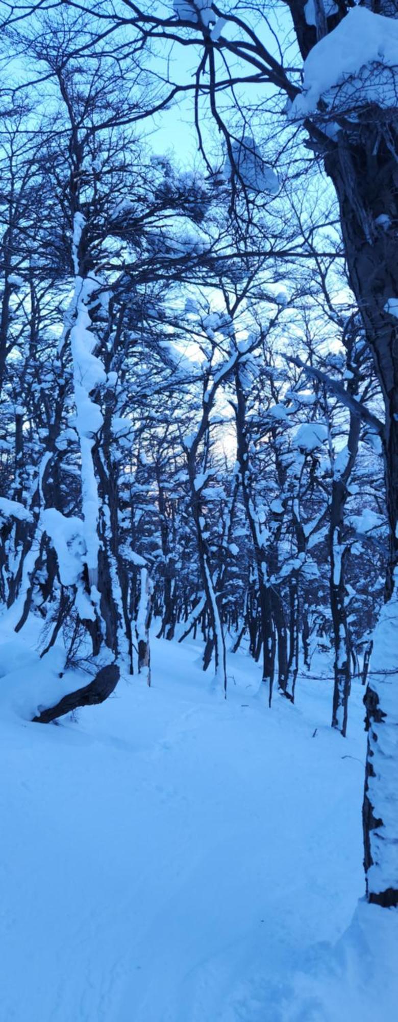 Valle Florido 1 Trevelín Екстериор снимка